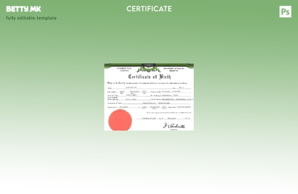 модерен стил Шаблон за извод од матична книга на родени во Едмонтон на Министерс